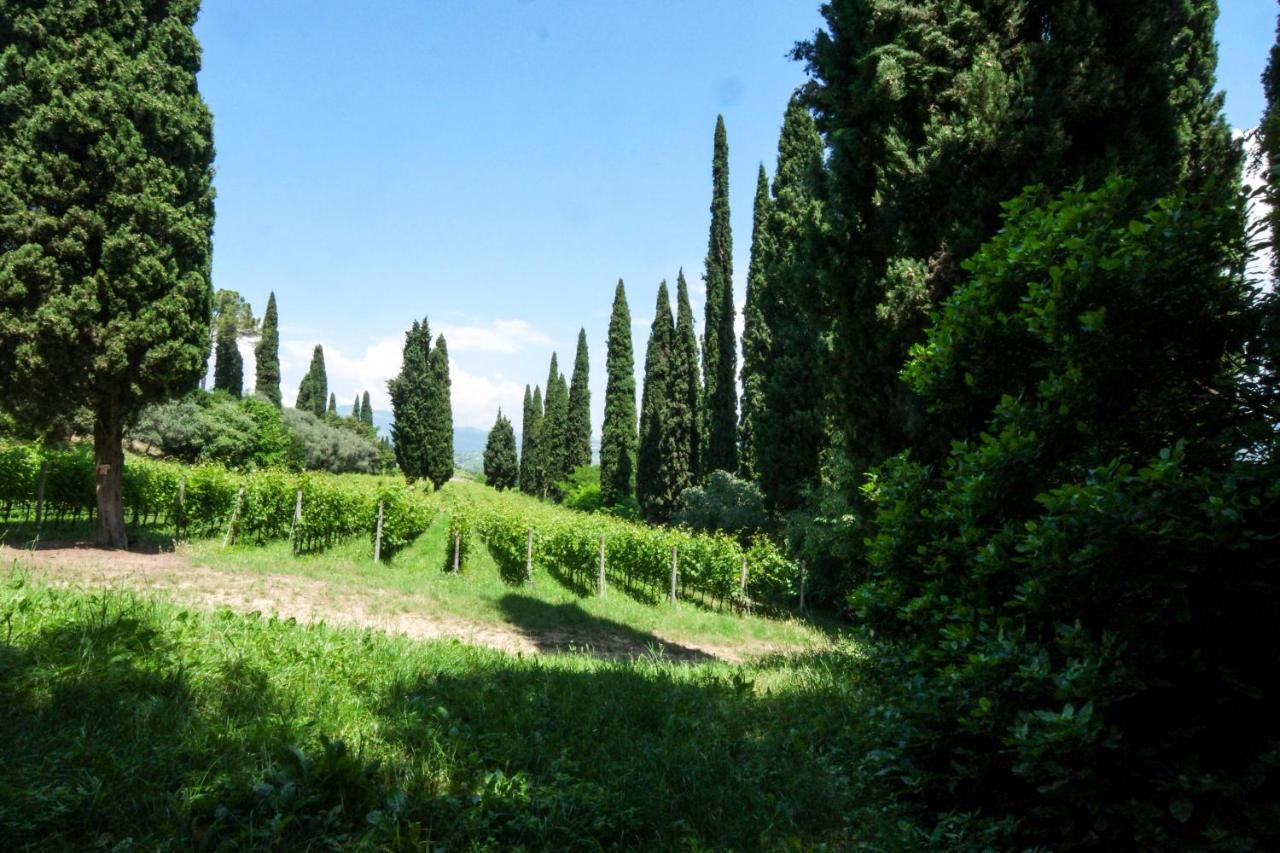 Villa Betteloni Valpolicella Suites San Pietro in Cariano Eksteriør bilde